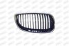 PRASCO BM0252003 Radiator Grille